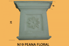 N19-Peana-Floral